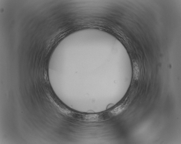 X0000067850410200605111713