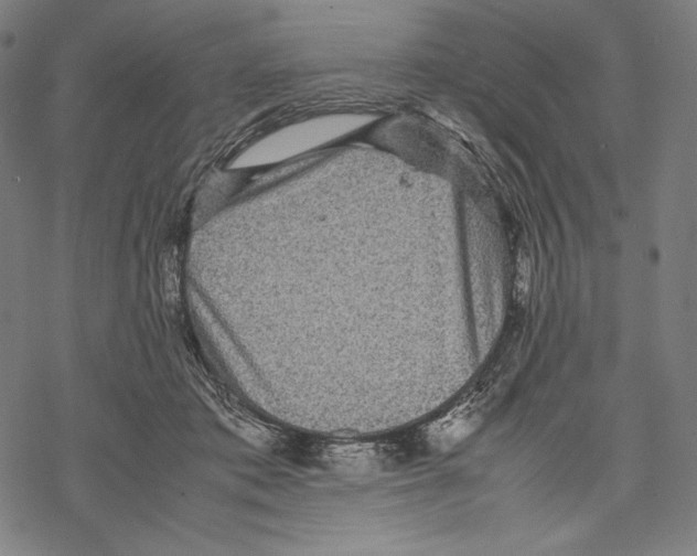 X0000067850413200605111713