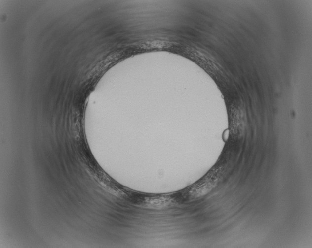 X0000067850414200605111713