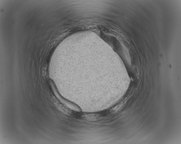 X0000067850417200605111713