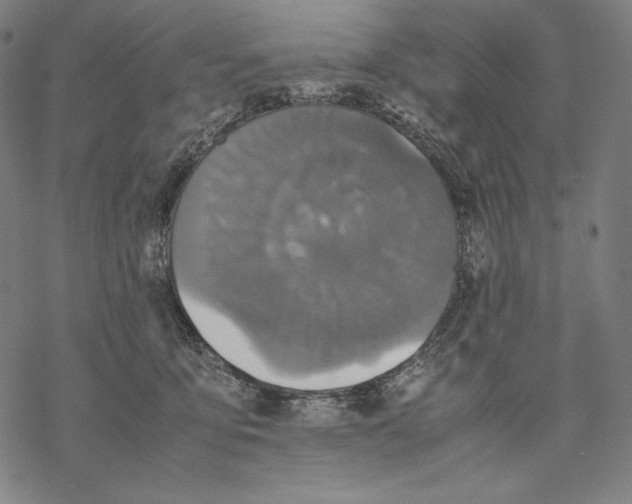 X0000067850419200605111713