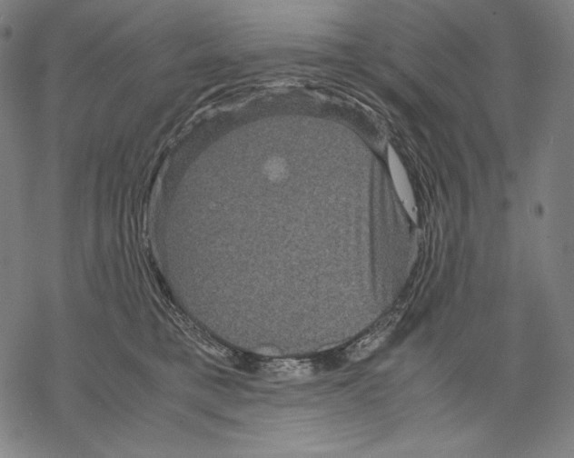 X0000067850421200605111713