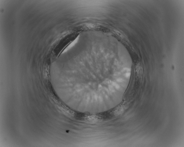 X0000067850423200605111713