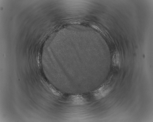 X0000067850424200605111713