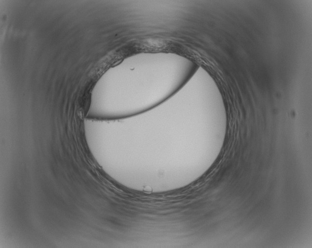 X0000067850425200605111713