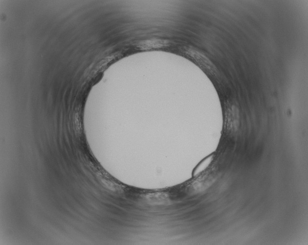 X0000067850426200605111713