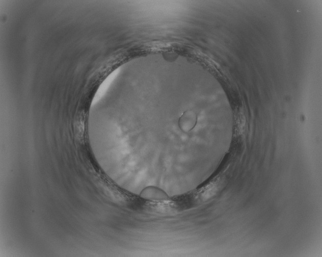 X0000067850427200605111713