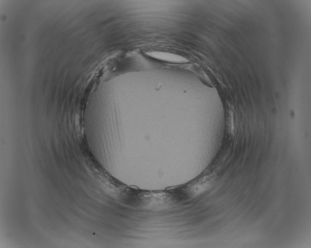 X0000067850428200605111713