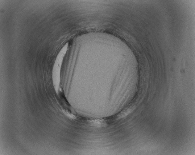 X0000067850432200605111713