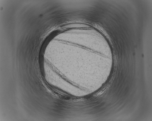 X0000067850433200605111712