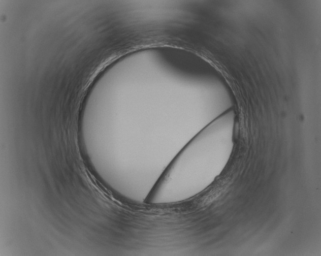 X0000067850434200605111712