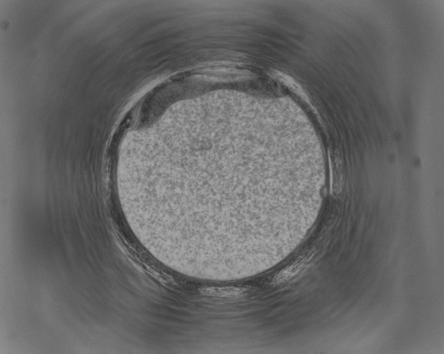 X0000067850435200605111712