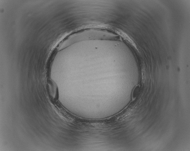 X0000067850436200605111712