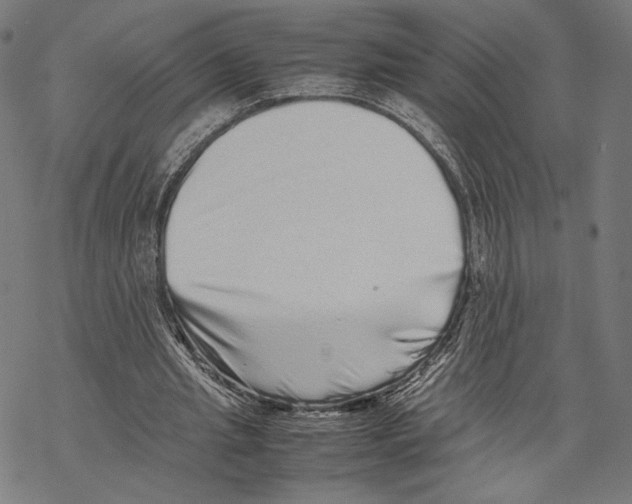 X0000067850437200605111712