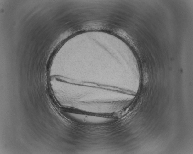 X0000067850439200605111712