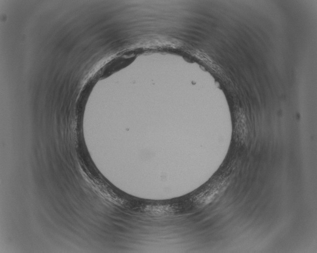 X0000067850440200605111712