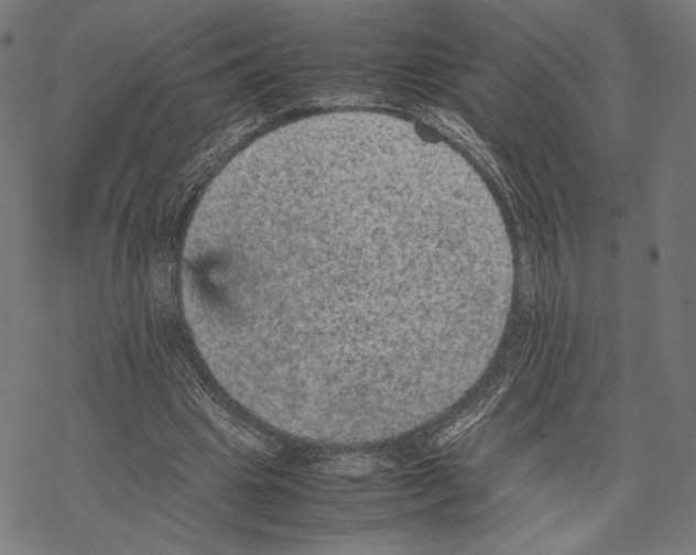 X0000067850441200605111712