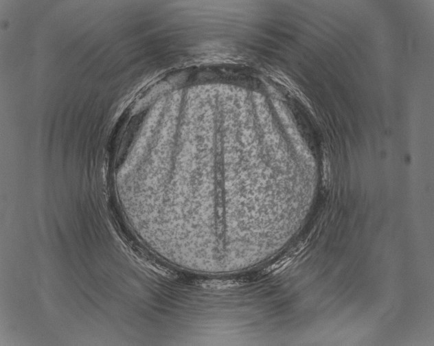 X0000067850444200605111712