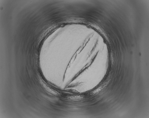 X0000067850445200605111712