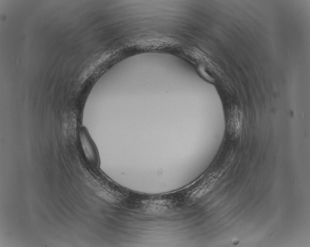 X0000067850448200605111712