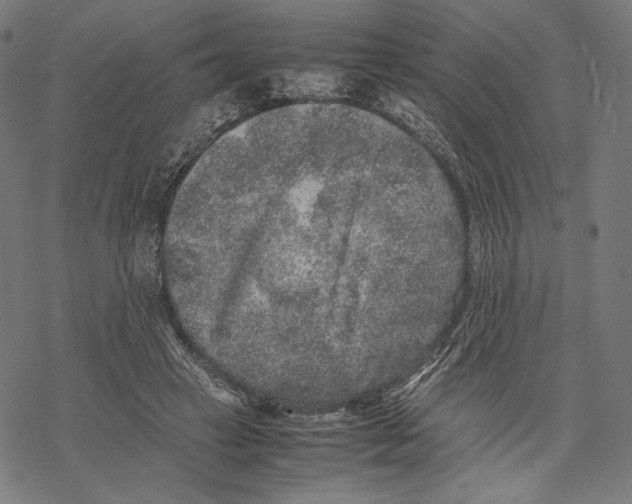 X0000067850449200605111712