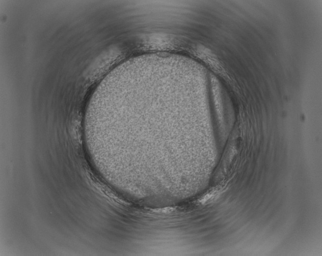 X0000067850450200605111712