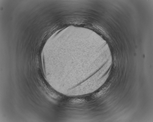 X0000067850453200605111712