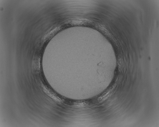 X0000067850454200605111712