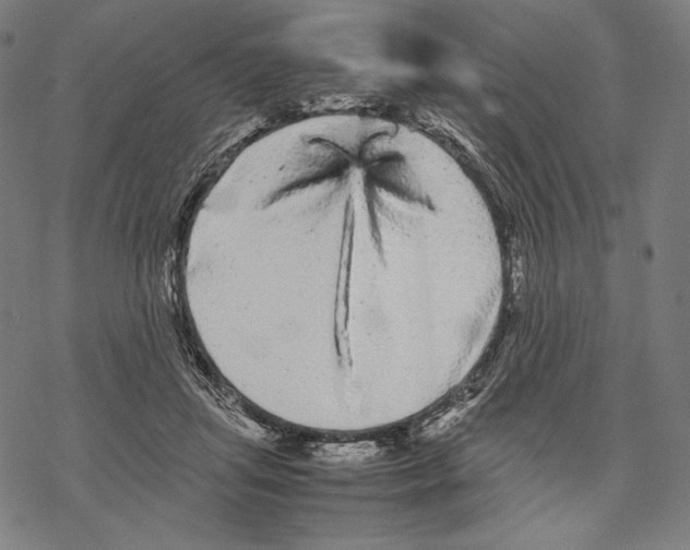 X0000067850455200605111712