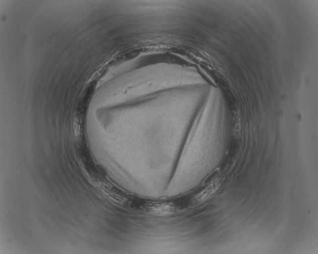 X0000067850456200605111712