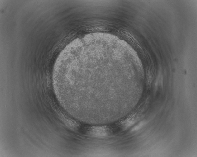 X0000067850457200605111712