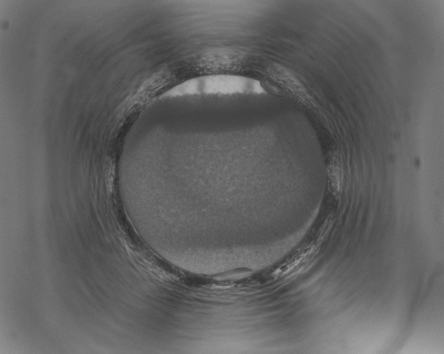 X0000067850458200605111712