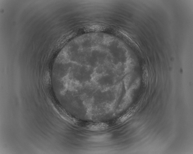 X0000067850459200605111712