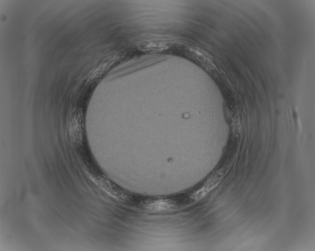 X0000067850460200605111712