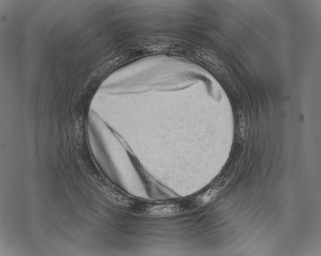 X0000067850461200605111712