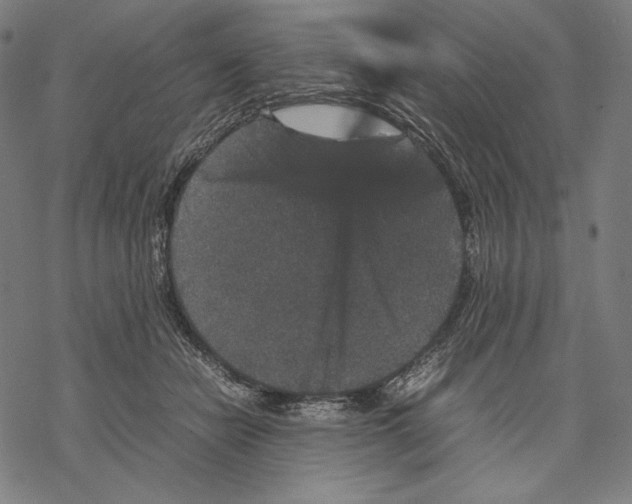 X0000067850462200605111712