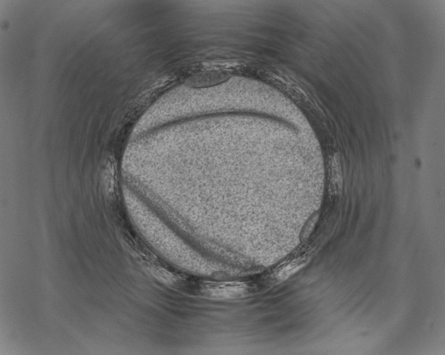 X0000067850463200605111712