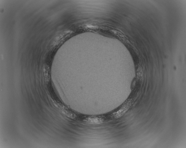 X0000067850464200605111712