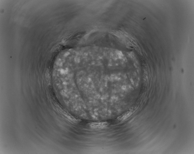 X0000067850465200605111712