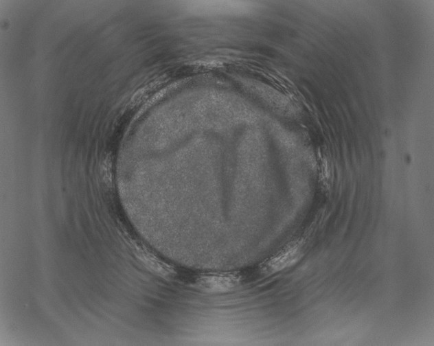 X0000067850466200605111712