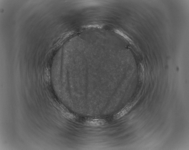 X0000067850467200605111712