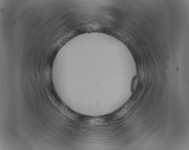 X0000067850468200605111712