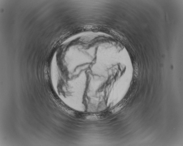 X0000067850470200605111713