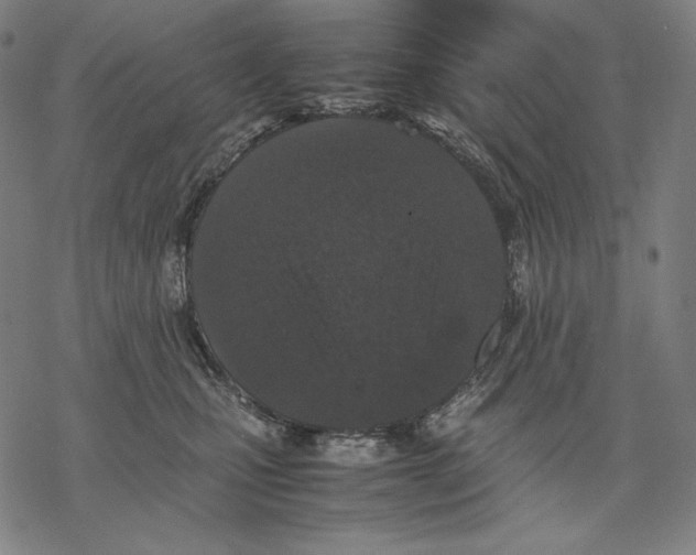 X0000067850471200605111713