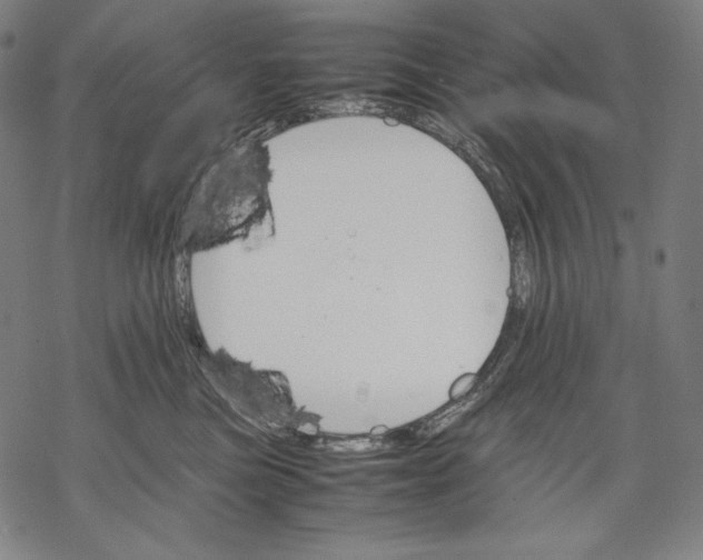 X0000067850473200605111713