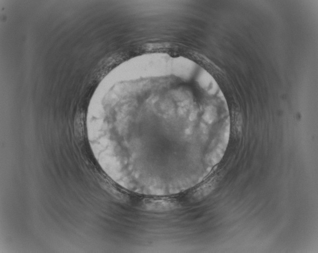 X0000067850475200605111713