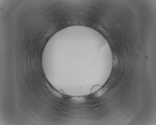 X0000067850477200605111713