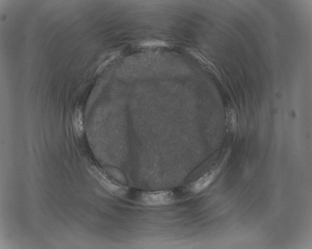 X0000067850479200605111713