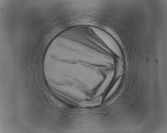 X0000067850481200605111712