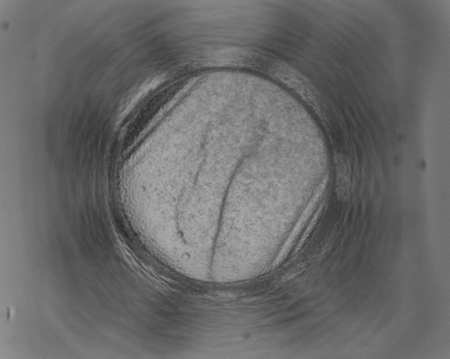 X0000067850482200605111712